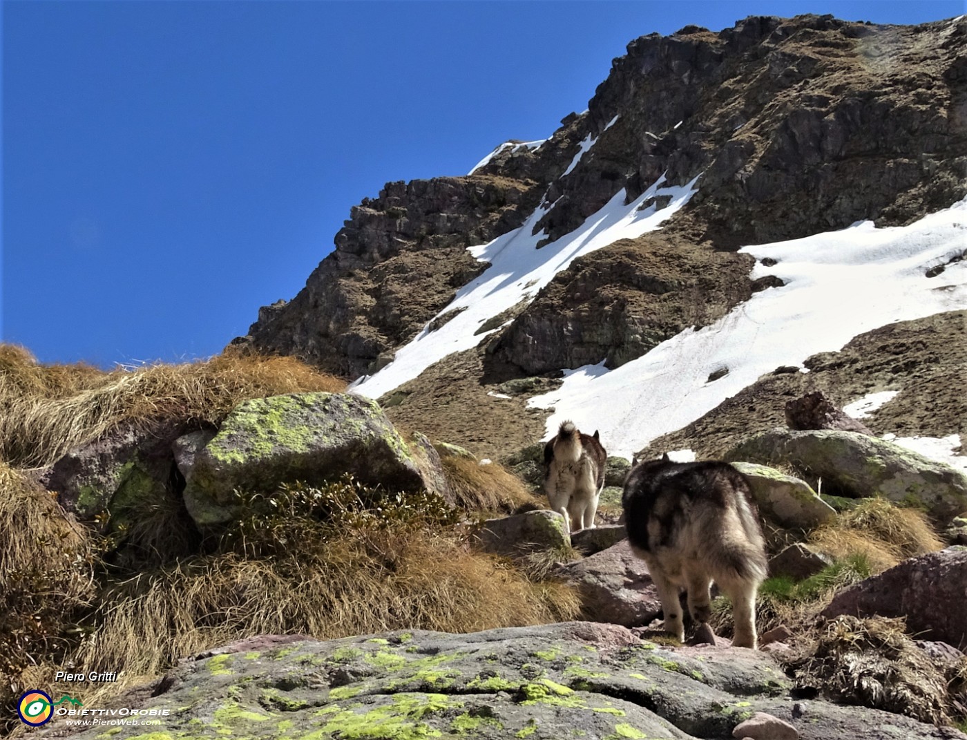 40 Lotte figlia  e Neve madre salgono sul sent. 217 verso la cima nord dei Tre Pizzi.JPG